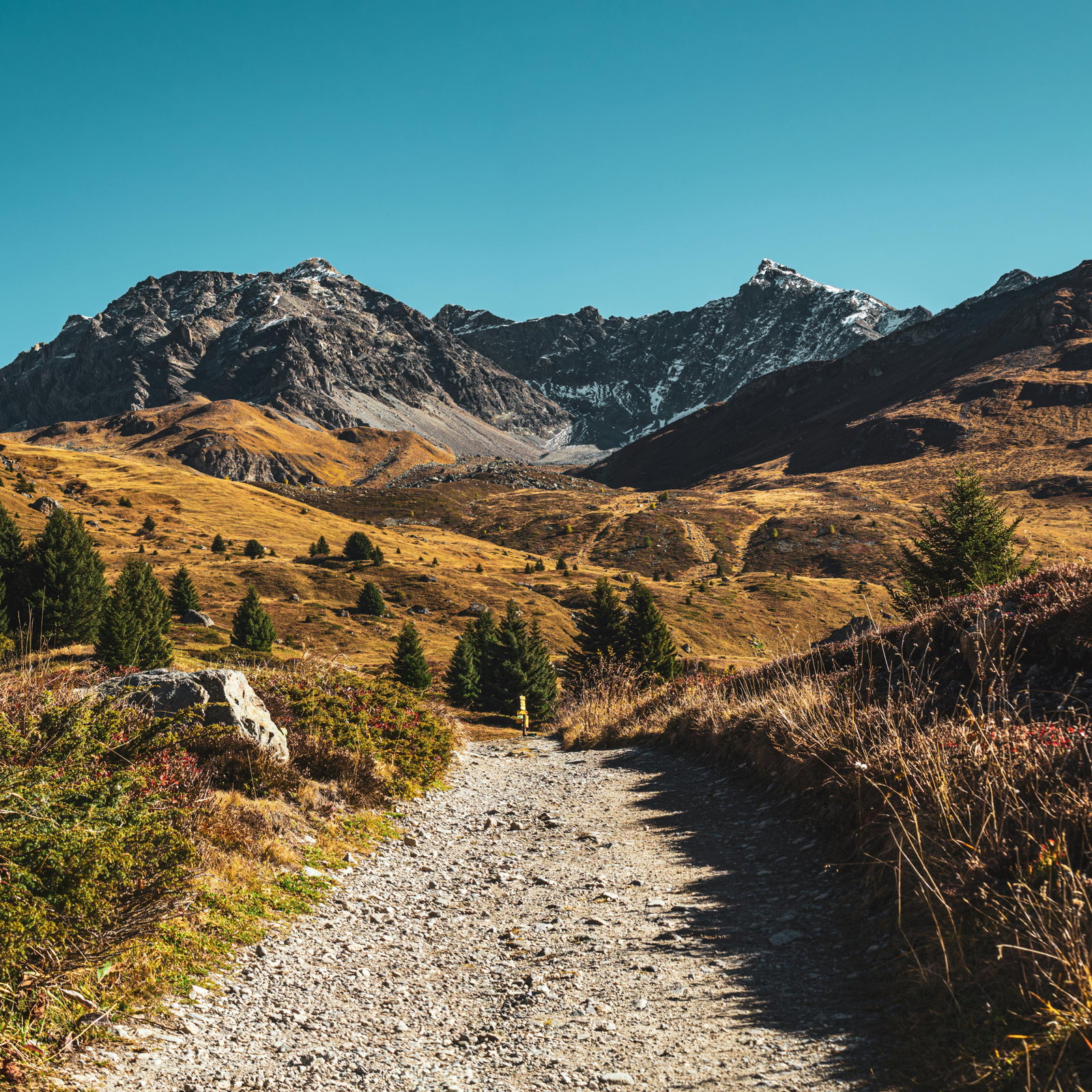 Bikepacking 101: Routes for Every Level
