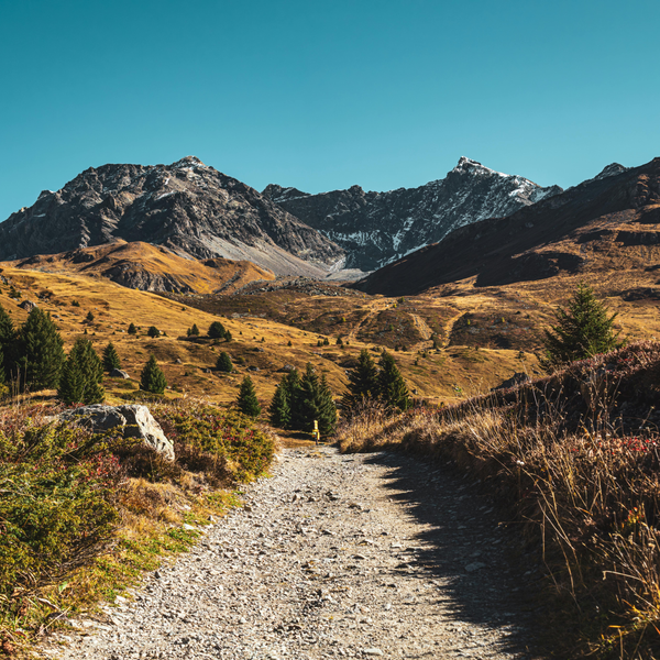 Bikepacking 101: Routes for Every Level
