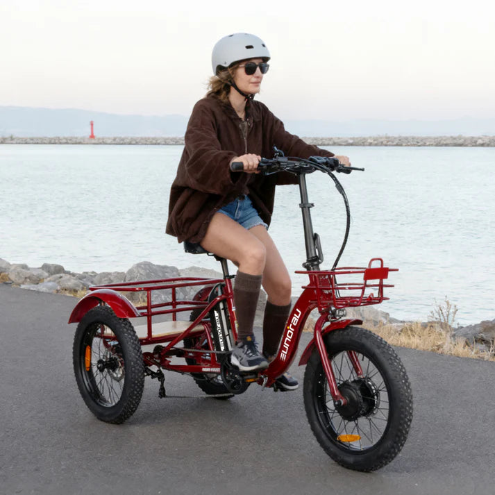 files/etrike.webp